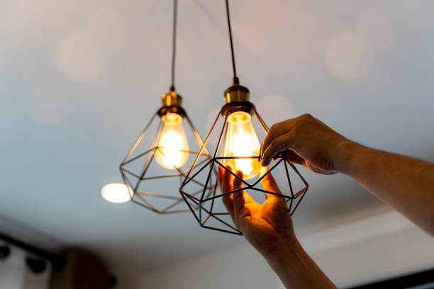 Best Electric Panel Repair  in Mlstadt, IL